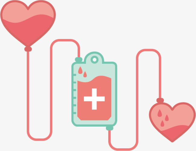 Cette image a un attribut alt vide ; le nom du fichier est img_5601.jpg